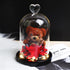 TGS - Teddy Rose